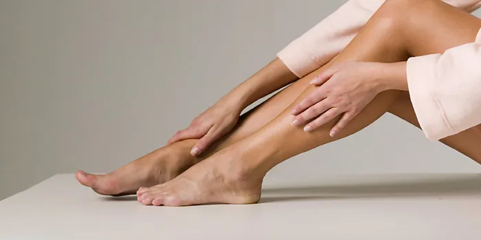 Muscle Ligament